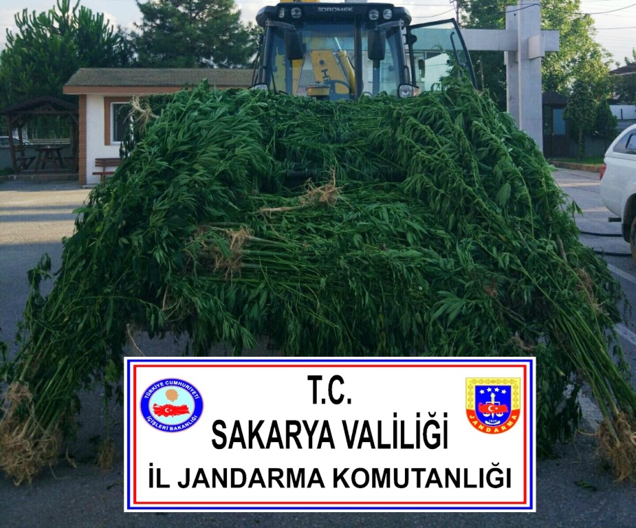 Jandarma’dan 5 İlçede Uyuşturucu Operasyonu