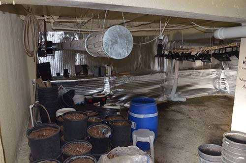 Emniyet ve Jandarma’dan uyuşturucu Baskını