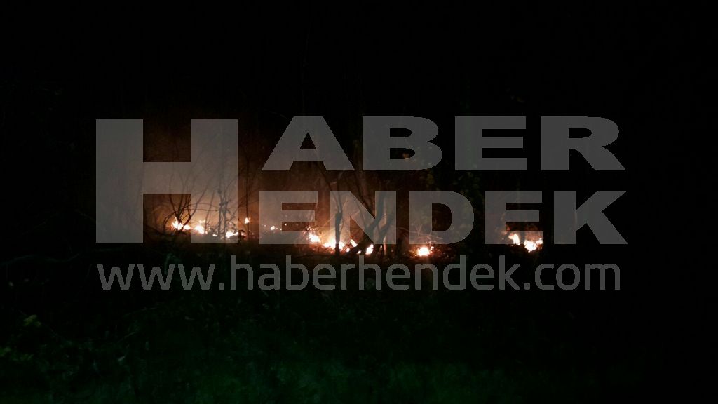 HENDEK İTFAİYESİNDEN YANGIN MESAİSİ