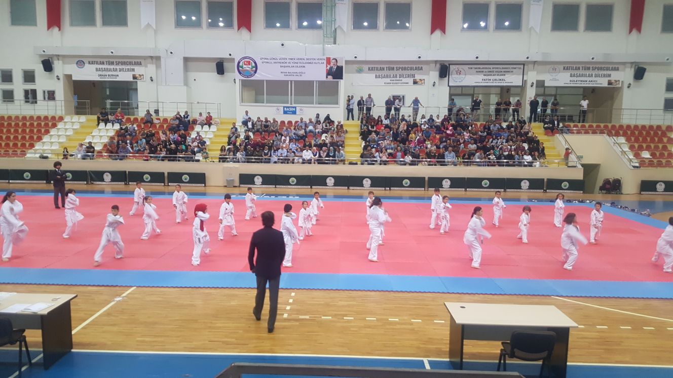 Hendek Karate Takımı Kuşak Yükseltti