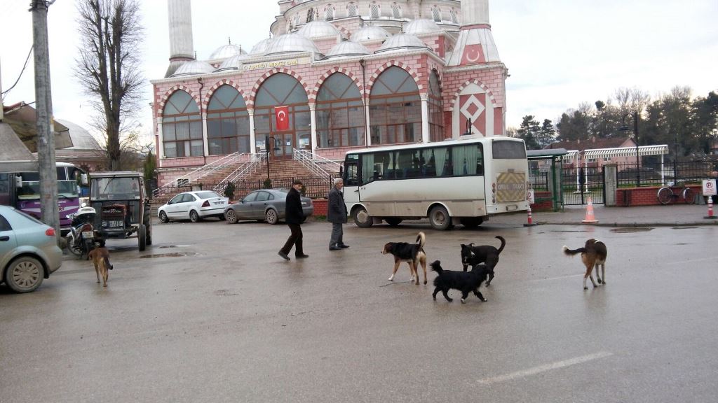 Bu Şikayet Yeşilyurt Mahallesinden