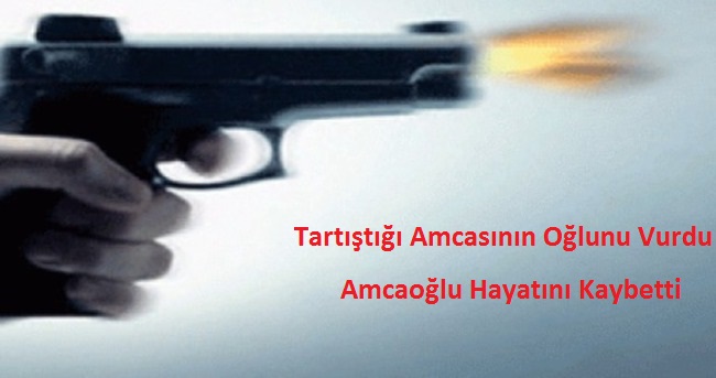 Tartıştığı Amcasının Oğlunu Vurdu