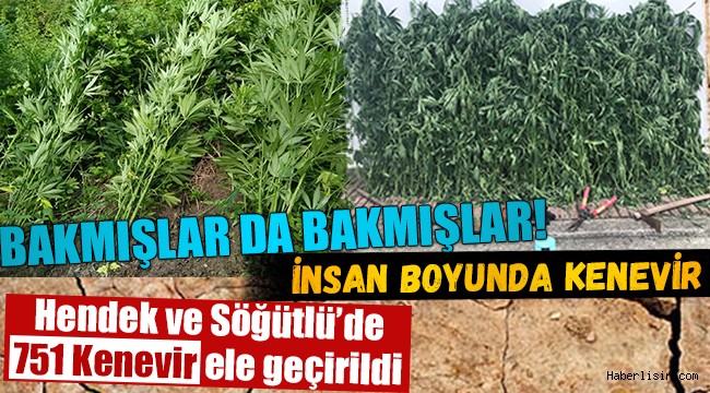Jandarmadan Dev Kenevir Operasyonu