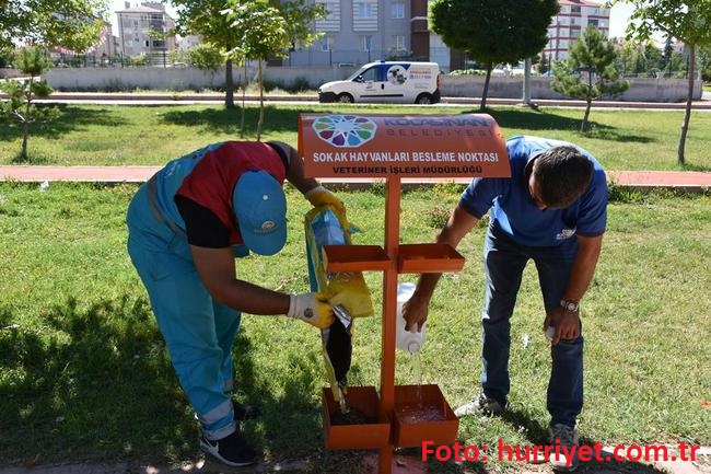 Onlarda Can Taşıyor