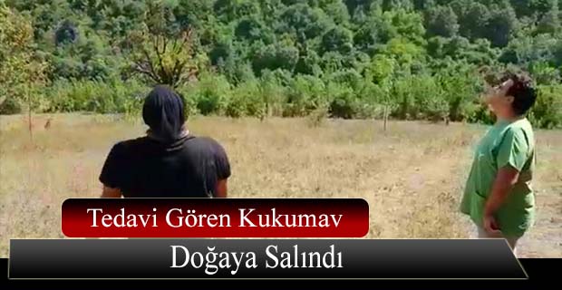 Tedavisi Biten Kukumav Kuşu Doğaya Salındı