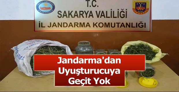 Uyuşturucuya Geçit Yok