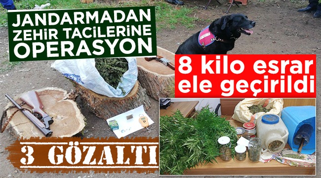 Geniş Çaplı Uyuşturucu Operasyonu
