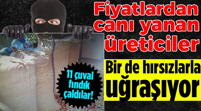 Fındık Fareleri Cezaevine Gönderildi