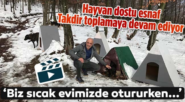 Hayvan dostu esnaf Takdir toplamaya devam ediyor