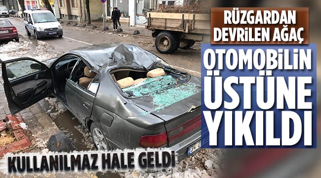 Şiddetli Rüzgâr Hendek’te Ağaç Devirdi