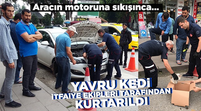 Aracın Motoruna Sıkışan Kedi Kurtarıldı