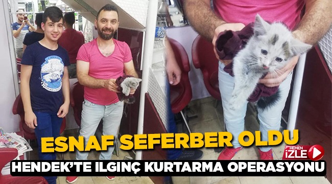 Kediyi Kurtarmak İçin Esnaf Seferber Oldu
