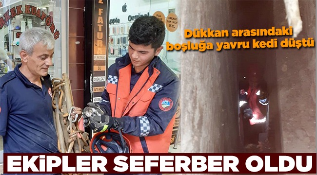 Yavru Kediyi İtfaiye Ekipleri Kurtardı