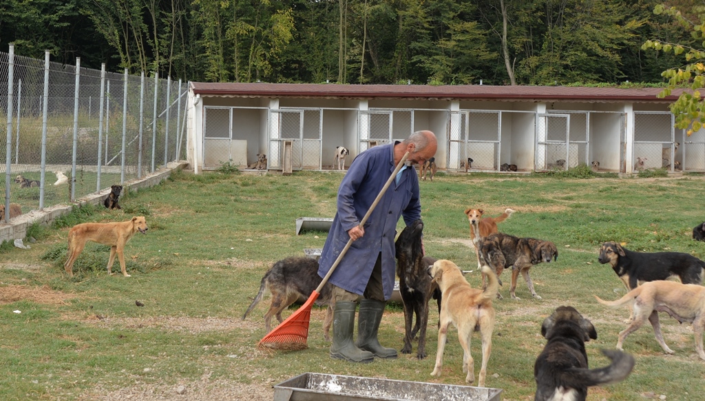 Can Dostlarımıza Konforlu Barınak