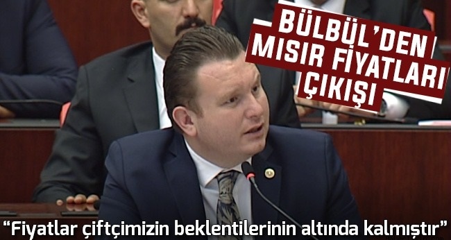 Bülbül Mısır Üreticilerinin Sorunlarını Anlattı