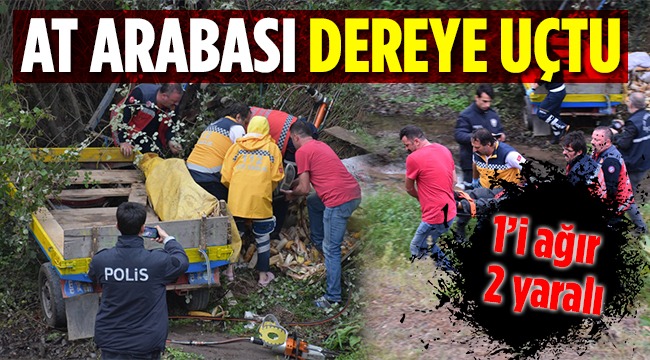 At Arabası Dereye Uçtu