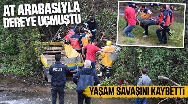 At Arabası Devrilmiş Yaralanmıştı Kurtarılamadı