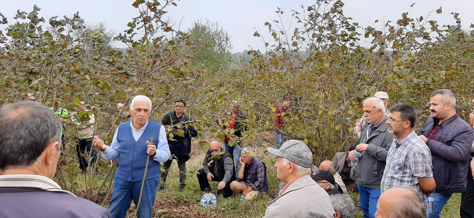 Fındık Üreticilerine Budama Eğitimi Verildi
