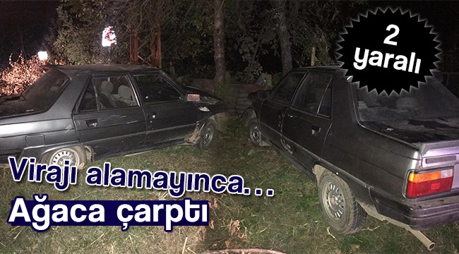 Virajı Alamayınca Ağaca Çarptı. 2 Yaralı