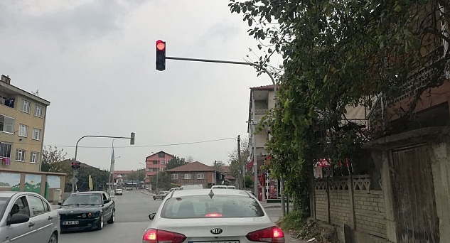 Ağaç Dalları Trafik Işıklarını Kapatıyor
