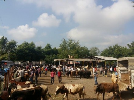 Hayvan Pazarına Korona Tedbiri