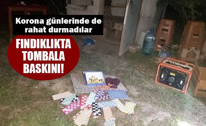 Korona tombalacılarına baskın