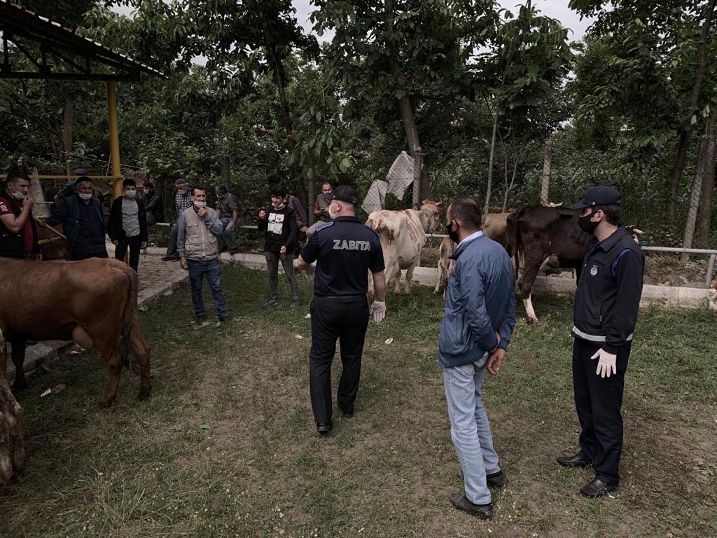 KURBAN SATIŞ YERLERİNDE DENETİM