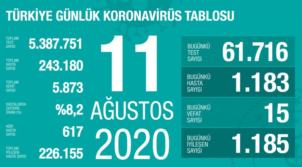 Bugünkü Vaka Sayısı ve Can Kaybı