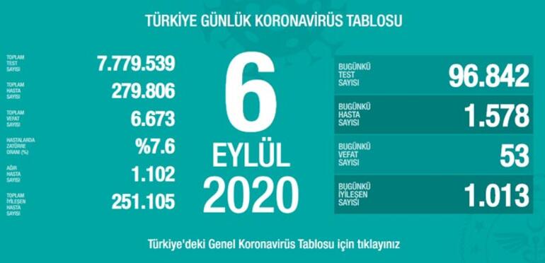 Koronavirüste Son Durum
