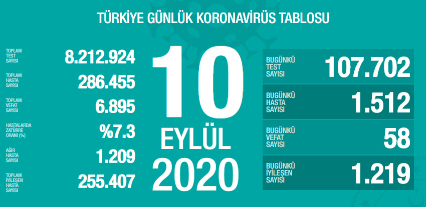 Koronavirüste Son Durum