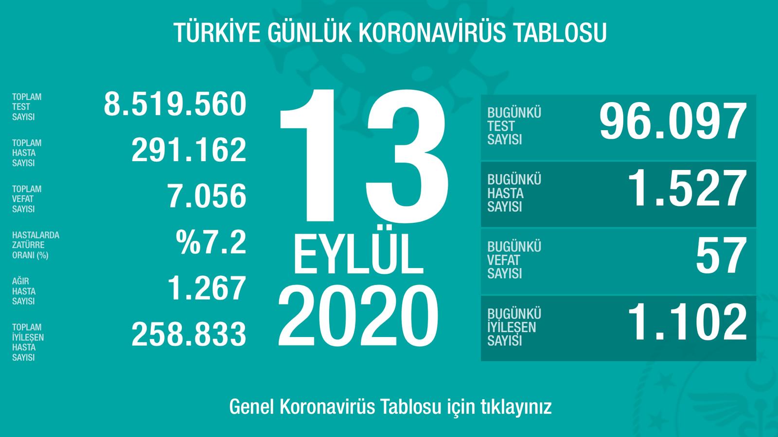 Koronavirüste Son Durum