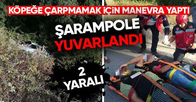 Köpeğe Çarpmamak İçin Manevra Yapınca Şarampole Yuvarlandı