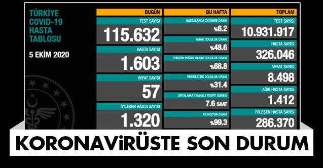 Koronavirüste Son Durum