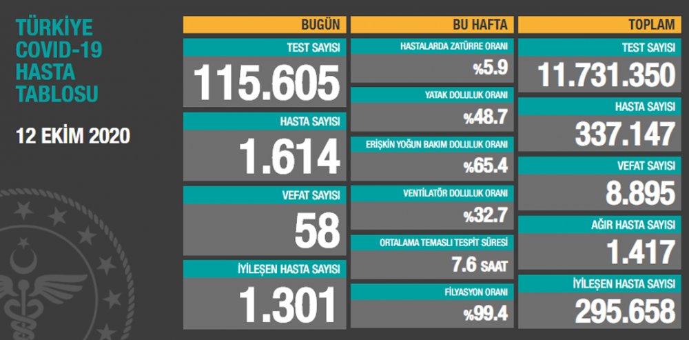 Koronavirüste Son Durum