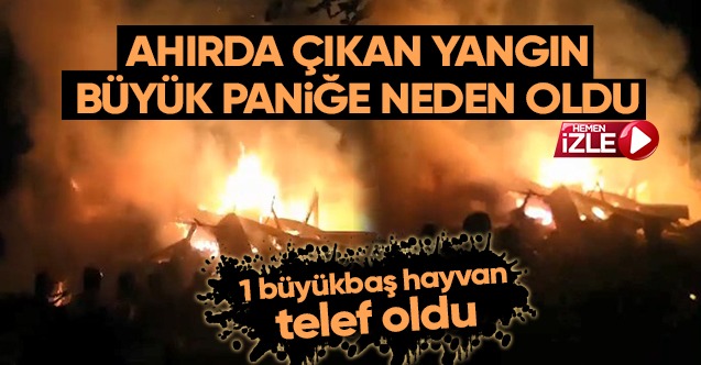 Ahırda çıkan yangın büyük paniğe neden oldu