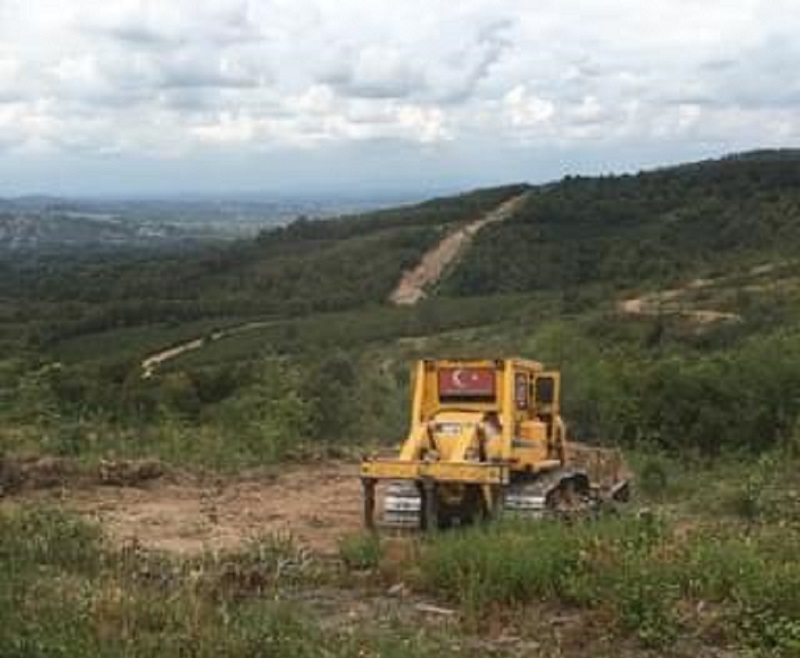 Kazımiye Dağları Yeşile Bürünecek