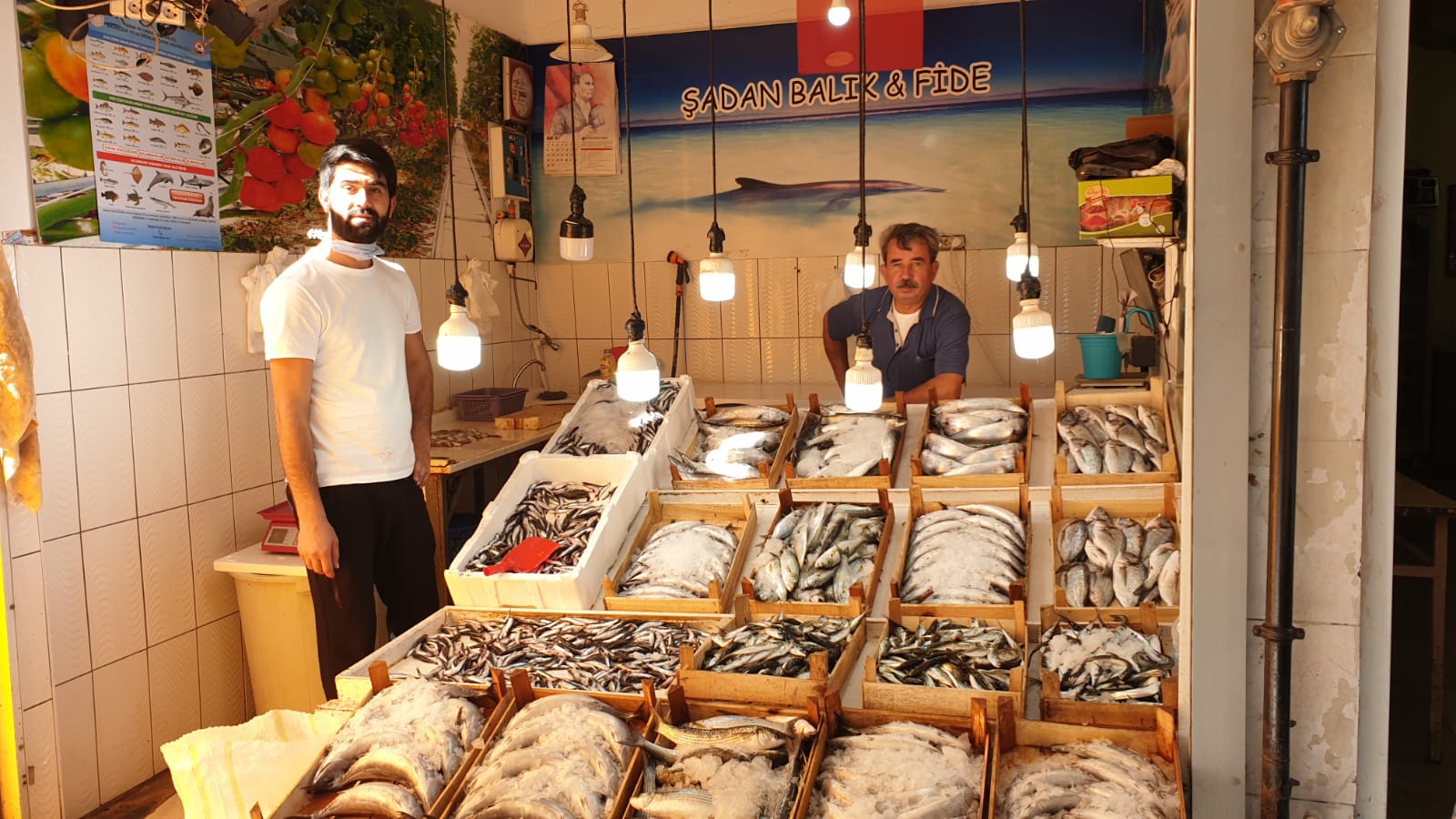 Şadan Balıkçılıkta Hamsi Fiyatı Yarı Yarıya Düştü