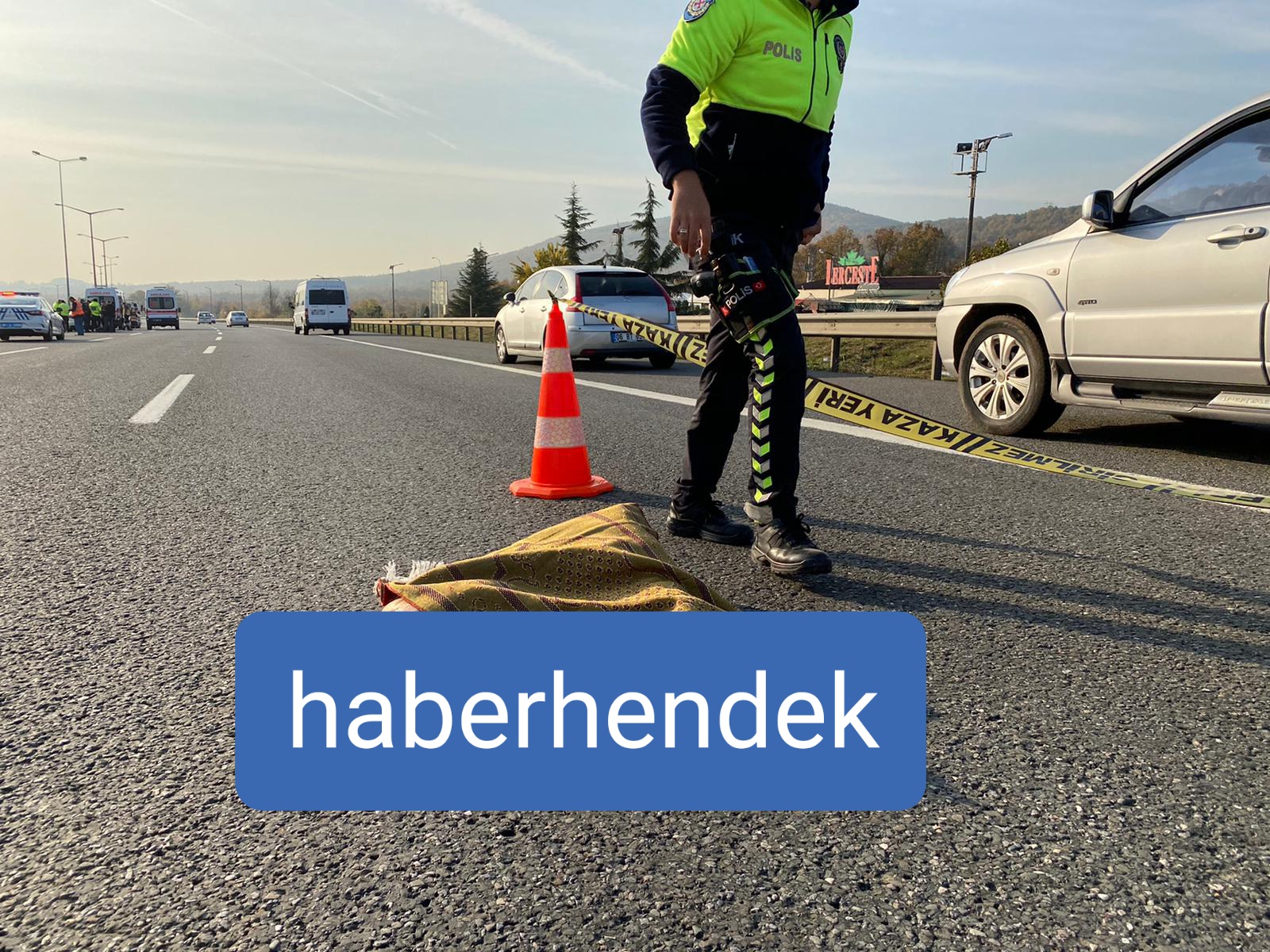 Hendekli Vatandaş TEM'de Hayatını Kaybetti