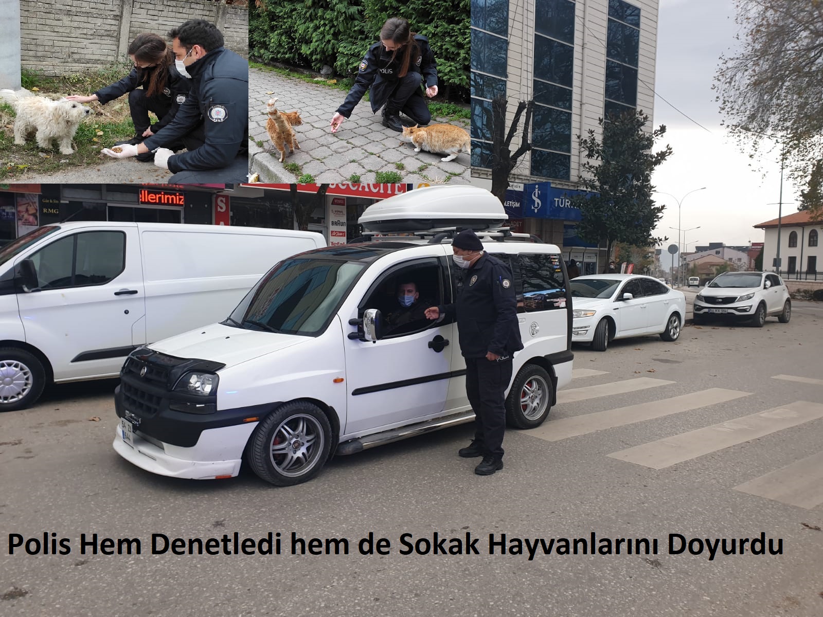 Polis Hem Denetledi hem de Sokak Hayvanlarını Doyurdu