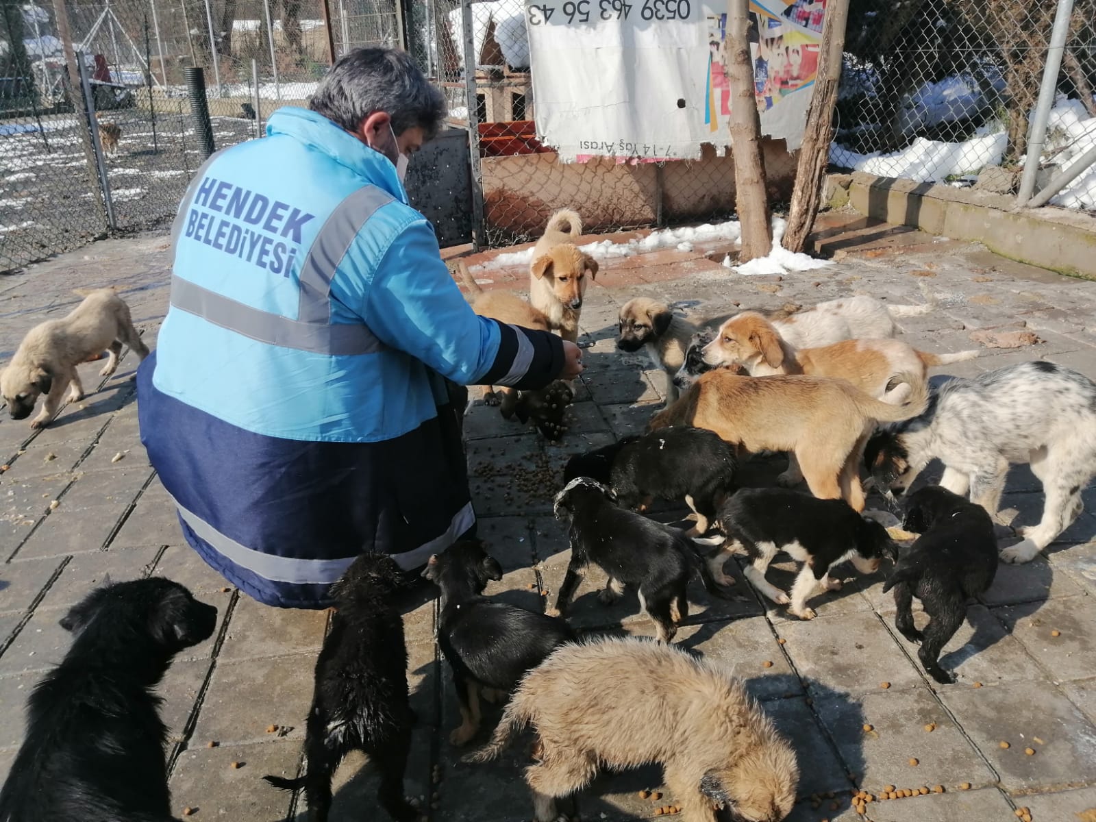 Hendek Belediyesi Can Dostlarımızı Unutmuyor