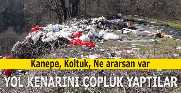 Yol Kenarını Çöplük Yaptılar