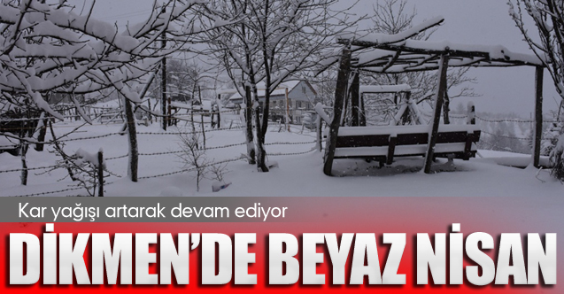 Zirvede Beyaz Nisan