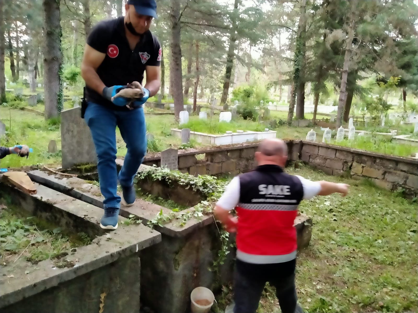 SAKE’den Şevkat Eli