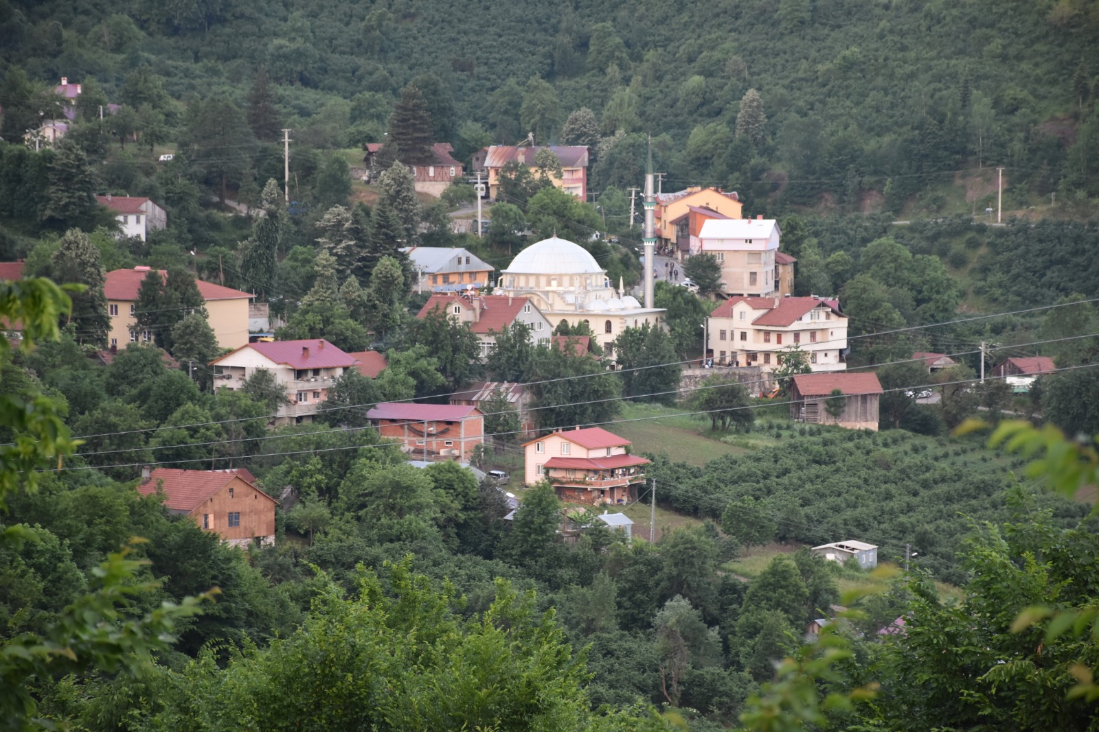 Yüzyılın Geleneğine Koronavirüs Engeli