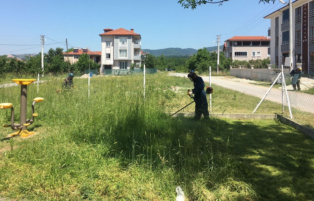 Mahallelerde Yabani Otla Mücadele Sürüyor