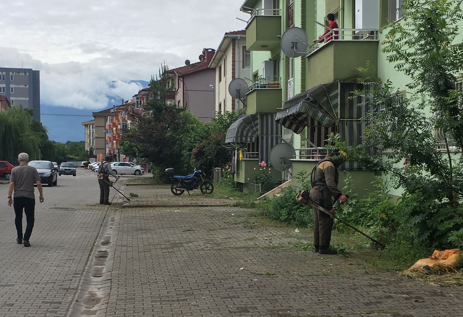 Hendek Güzelleşiyor