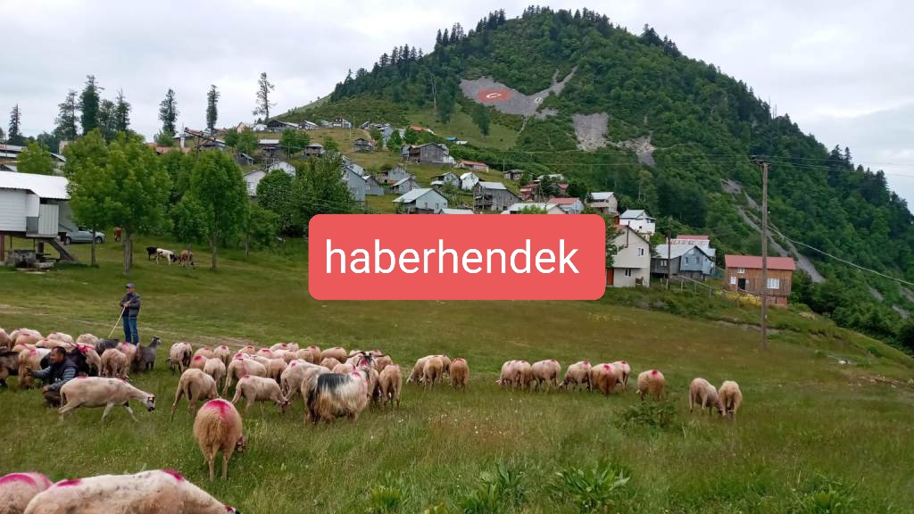 Zirvede Göç Başladı