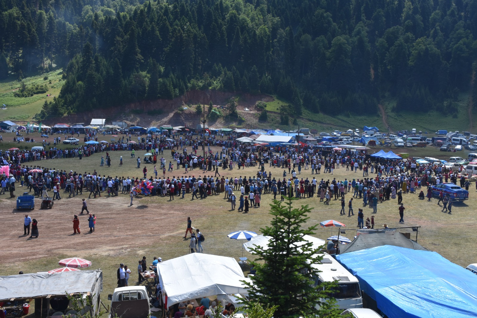 Çiğdem Yayla Şenliği Tarihi Belli Oldu