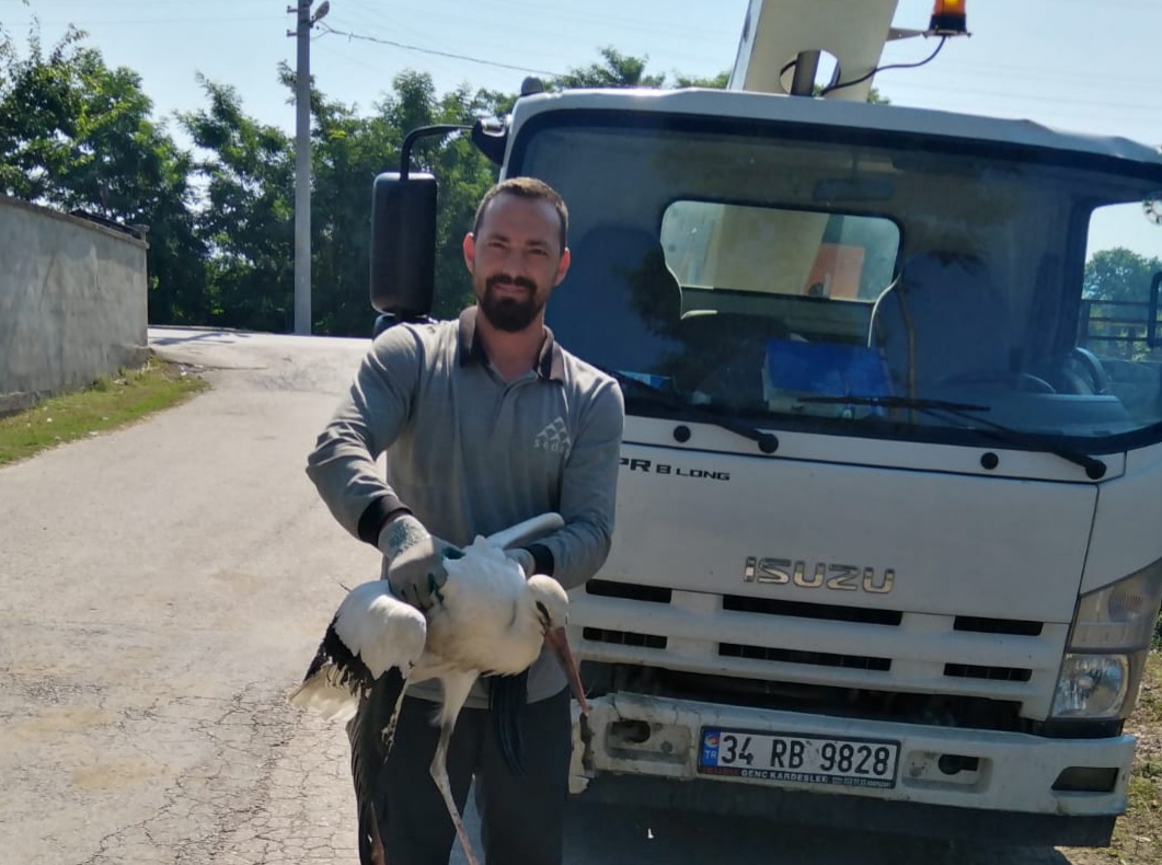 Yüksek Gerilime Kapılan Leylek Kurtarıldı