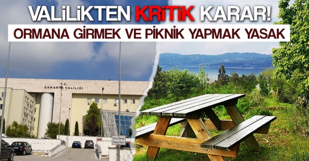 Valilik Açıkladı, Ormana Girmek, Piknik Yapmak Yasak